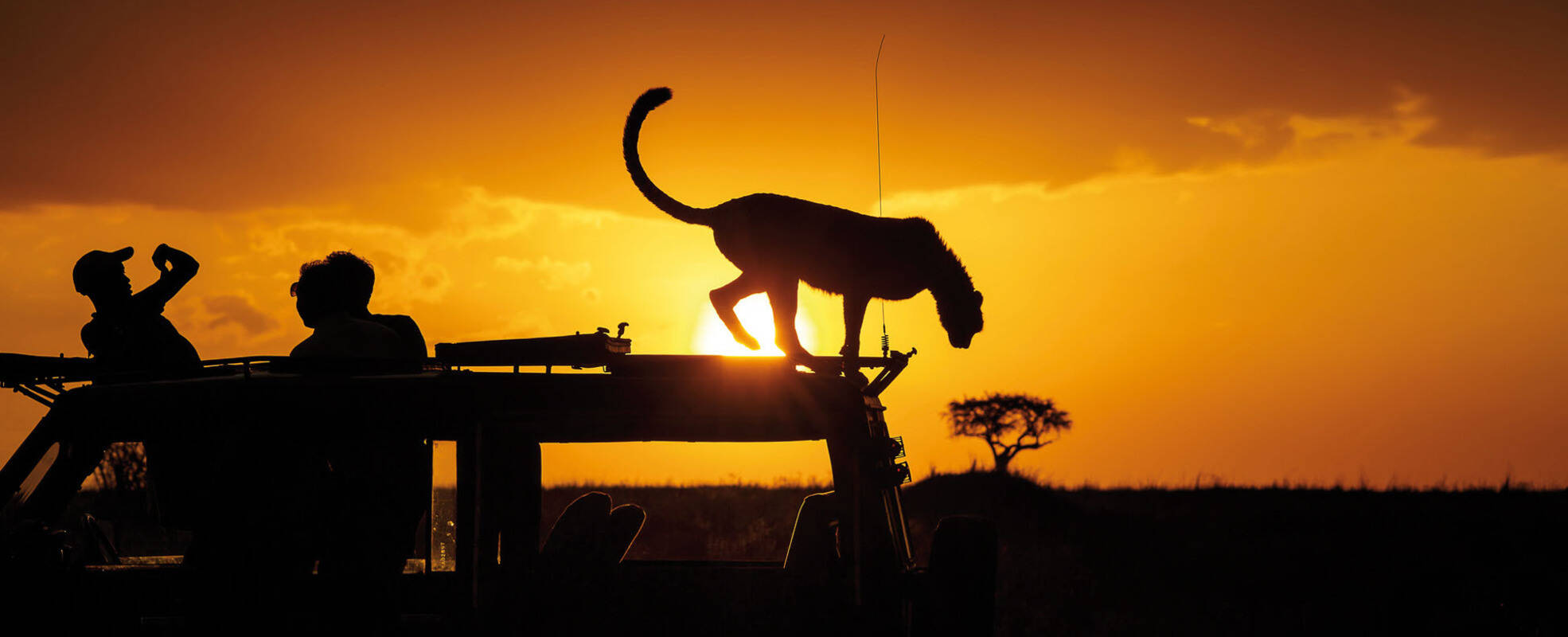 Rundreise Kenia mit Ikarus Tours erleben