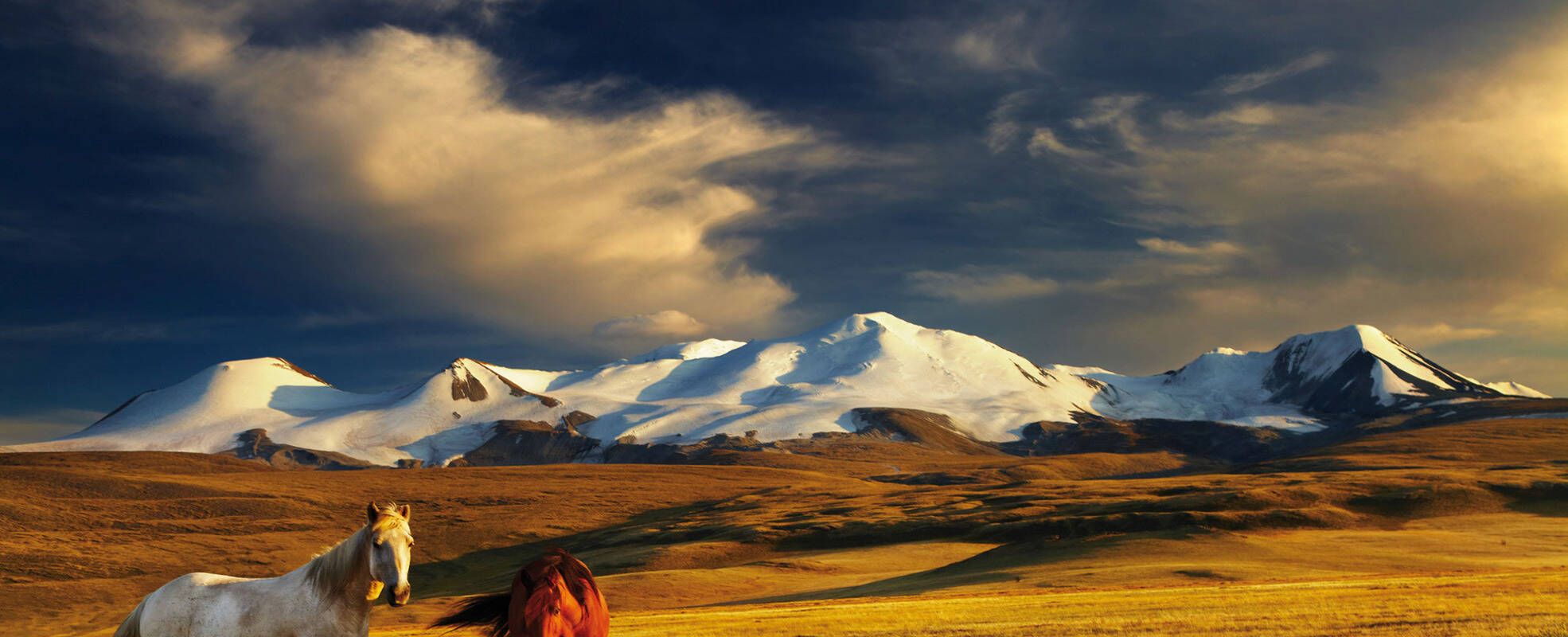 Mongolei Rundreisen mit ihrem Reisespezialisten erleben