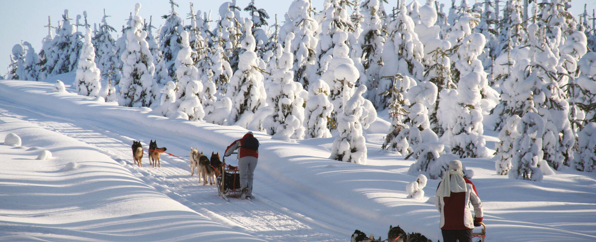 Finnland Rundreisen mit ihrem Reisespezialisten erleben