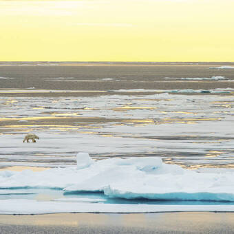 Spitzbergen © Zoutfotografie-Oceanwide Expeditions