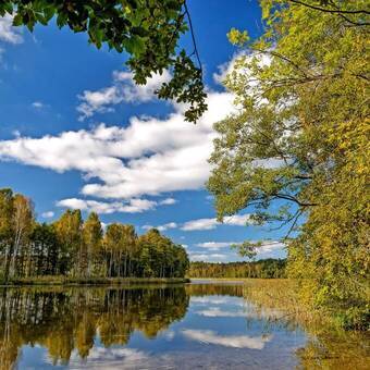 Fluss Krutynia in den Masuren, Polen © cameris - stock.adobe.com