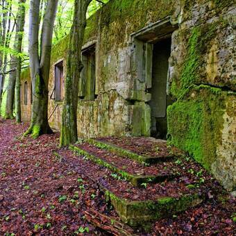 Führerhauptquartier Wolfsschanze nahe Rastenburg, Polen © Pouakai - stock.adobe.com