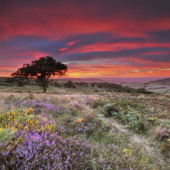 Ventnor, Isle of Wight www.visitisleofwight.co.uk