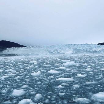 Eqip Sermia-Gletscher Ariana Seifried