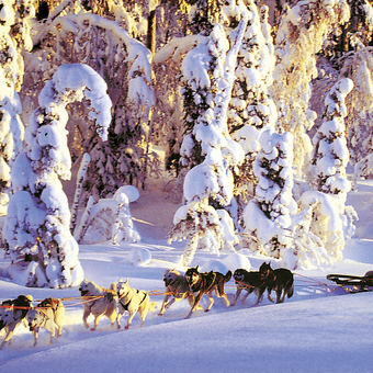 Ein herrliches Erlebnis: Natur pur! 