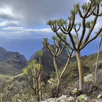 Teno-Gebirge, Teneriffa Ariana Seifried