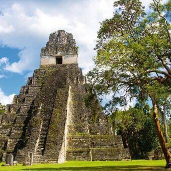 Tikal Ruinen in Guatemala © Simon Dannhauer - Fotolia