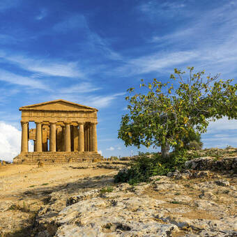 Der Tempel der Concordia, ein antiker griechischer Tempel im 5. Jahrhundert v. Chr., Agrigent, Sizilien. Tempel der Concordia, Agrigent, Sizilien, Italien 