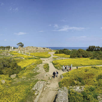 Famagusta_ Salamis Ausgrabungsstätte 