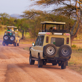 Auf Safari, im Jeep mit Hubdach © kasto - Fotolia