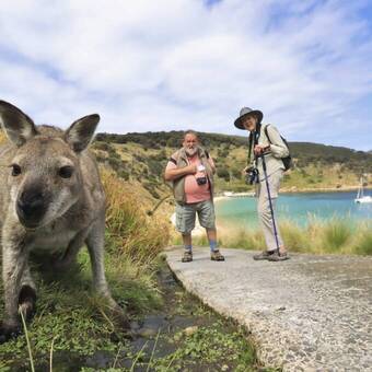 Coral Discoverer Coral Expeditions