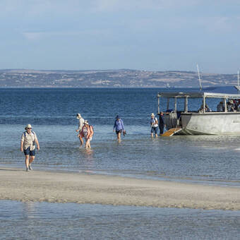 Coral Discoverer Coral Expeditions