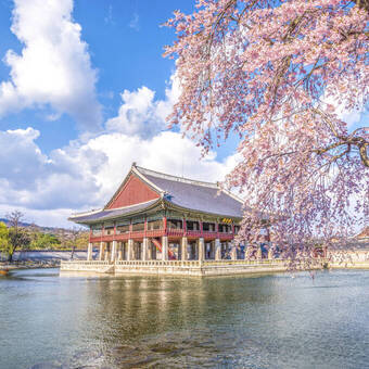 Wunderschöner Gyeongbokgung-Palast in Südkorea 