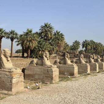 Sphinx-Allee in Luxor 