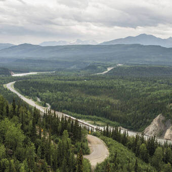 Unterwegs am Denali-Nationalpark 