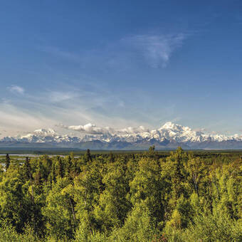 Fantastischer Blick auf den Denali-Nationalpark 