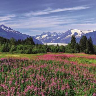 Alaska: Idyllische Bergszenerie 