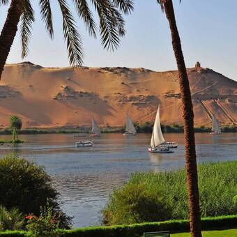 Nilszenerie in Assuan © fgeoffroy - stock.adobe.com