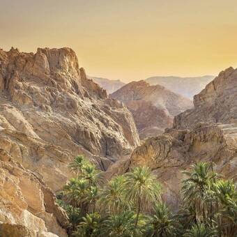 Blick auf die schöne Bergoase Chebika 