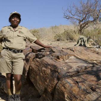 Lokale Führerin, Versteinerter Wald 