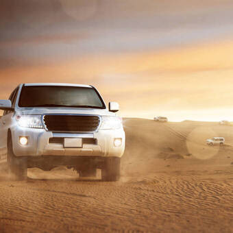 Wüstensafari © lassedesignen - stock.adobe.com