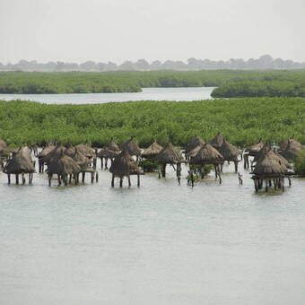 Beeindruckendes Joal Fadiouth 