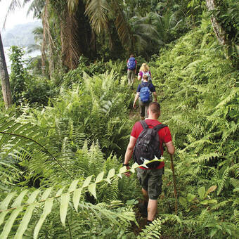 Dschungelwanderung auf Sao Tomé e Principe 