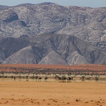 Unterwegs im Kaokoveld 