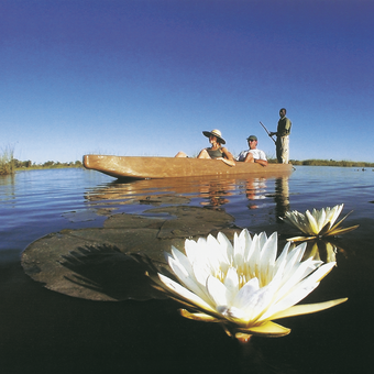 Ausflug im Mokoro im Okavango-Delta 