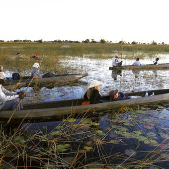 Ausflug im Mokoro durch die Wasserkanäle im Delta 