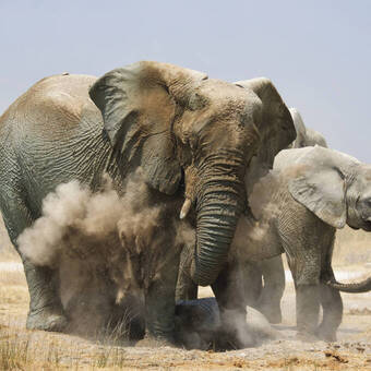 147036979 © jpll2002