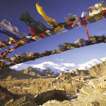 Gebetsfahnen über Leh 