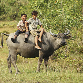 Begegnung auf dem Land 