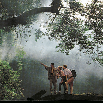 Wanderung durch den Dschungel Borneos 