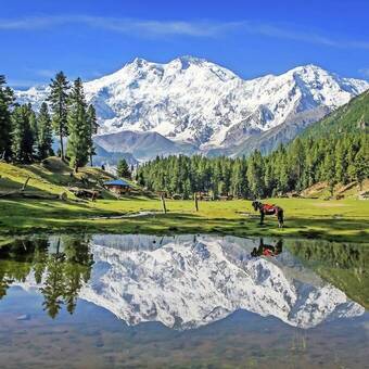 Wie im Traum: Märchenwiese mit Nanga Parbat 