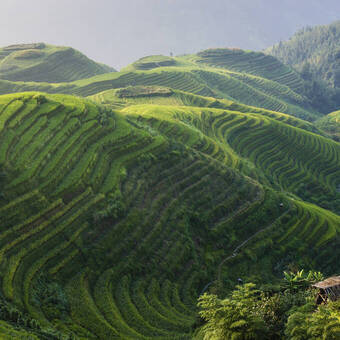 Wunderschöne Reisterrassen bei Pingan, China 