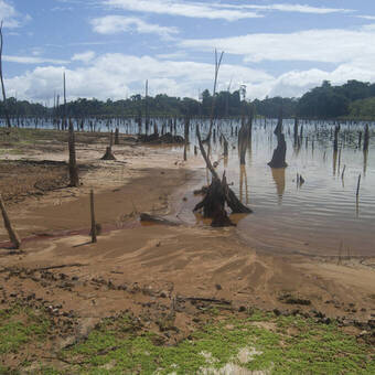Am Brokopondo-Stausee, Suriname 