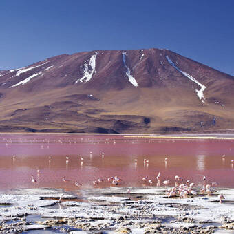 An der Laguna Colorada 