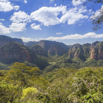 Blick in den Amboró-Nationalpark  