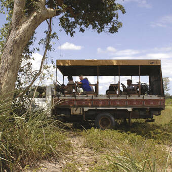 Auf Pirschfahrt im Pantanal 