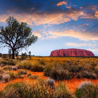 Uluru (Ayers Rock) © beau - stock.adobe.com
