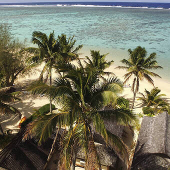 PALM GROVE, Rarotonga, Cook Inseln 