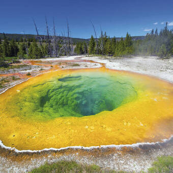 Morning Glory Pool im Yellowstone-Nationalpark 