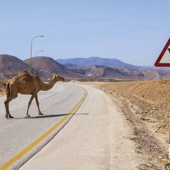Begegnung auf den Straßen © fotomem