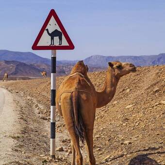 Begegnung auf den Straßen © jbphotographylt - stock.adobe.com