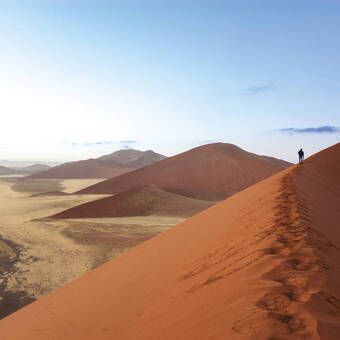 Die turmhohen Dünen im Sossusvlei 