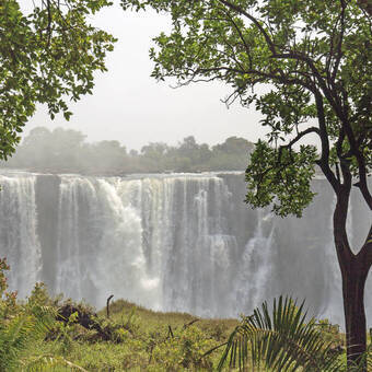 Die Victoria Wasserfälle  © paulafrench