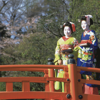 Geishas in Kyoto 