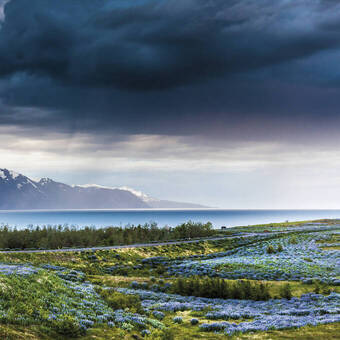 Fischerdorf, Husavik 