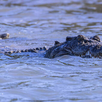  Heritage Expedition - Cathy Finch